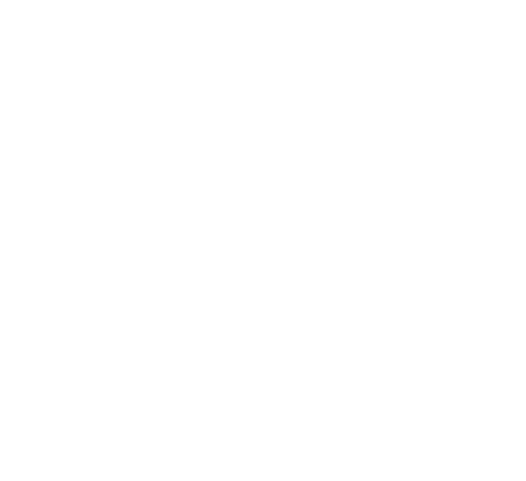 Logo BBR blanc